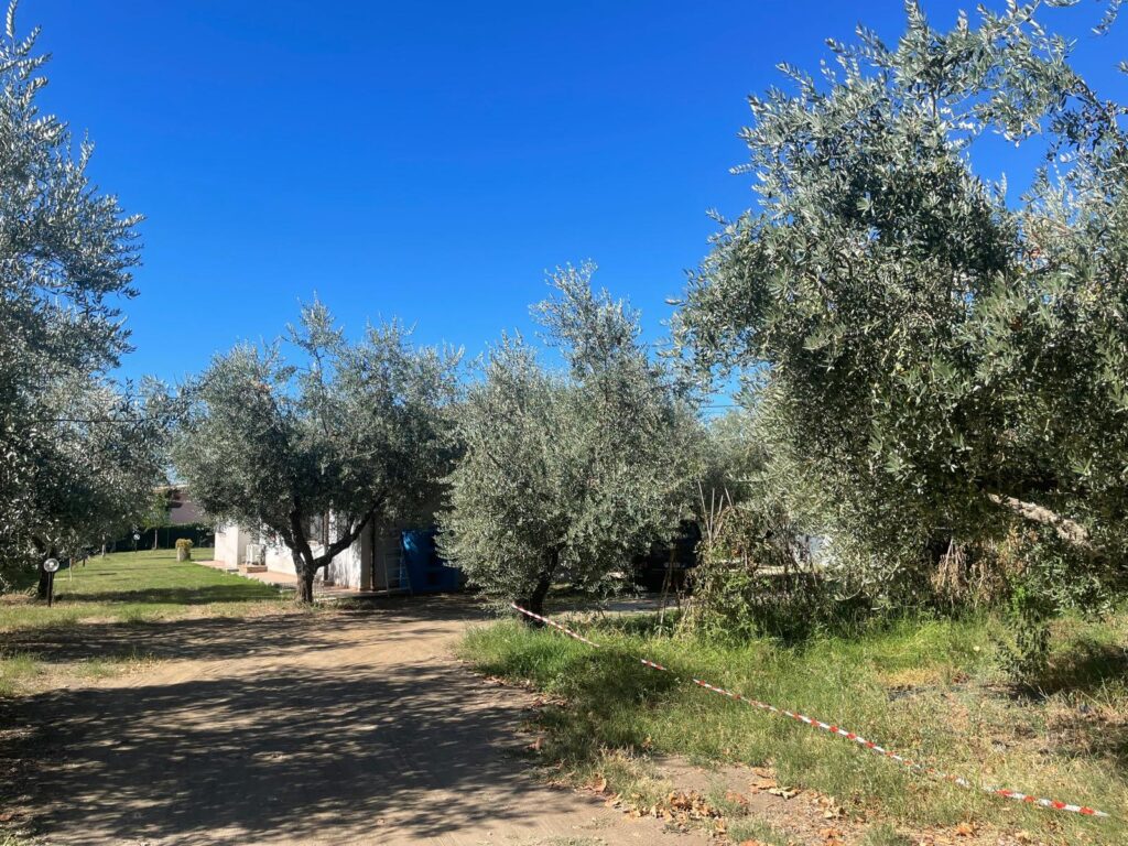 Foto di Villa con giardino