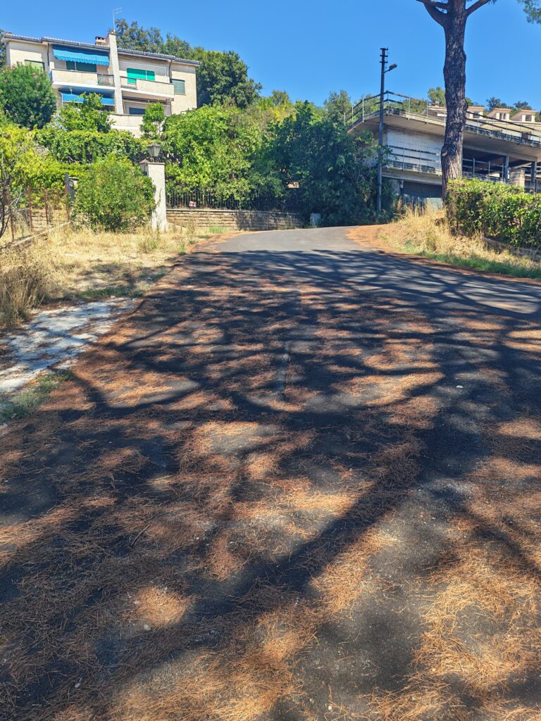 Foto di Appartamento vista lago