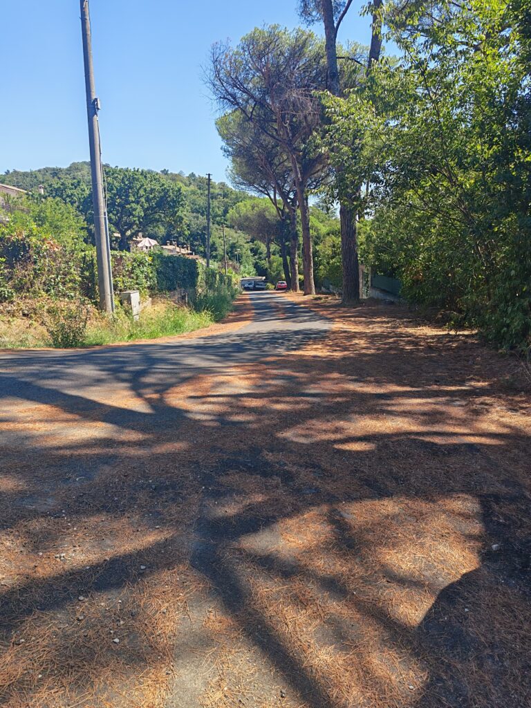 Foto di Appartamento vista lago