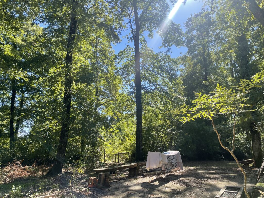 Foto di Casale nel bosco