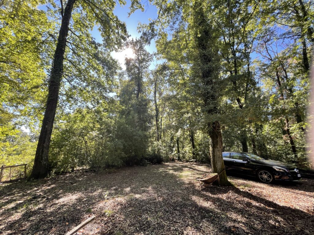 Foto di Casale nel bosco