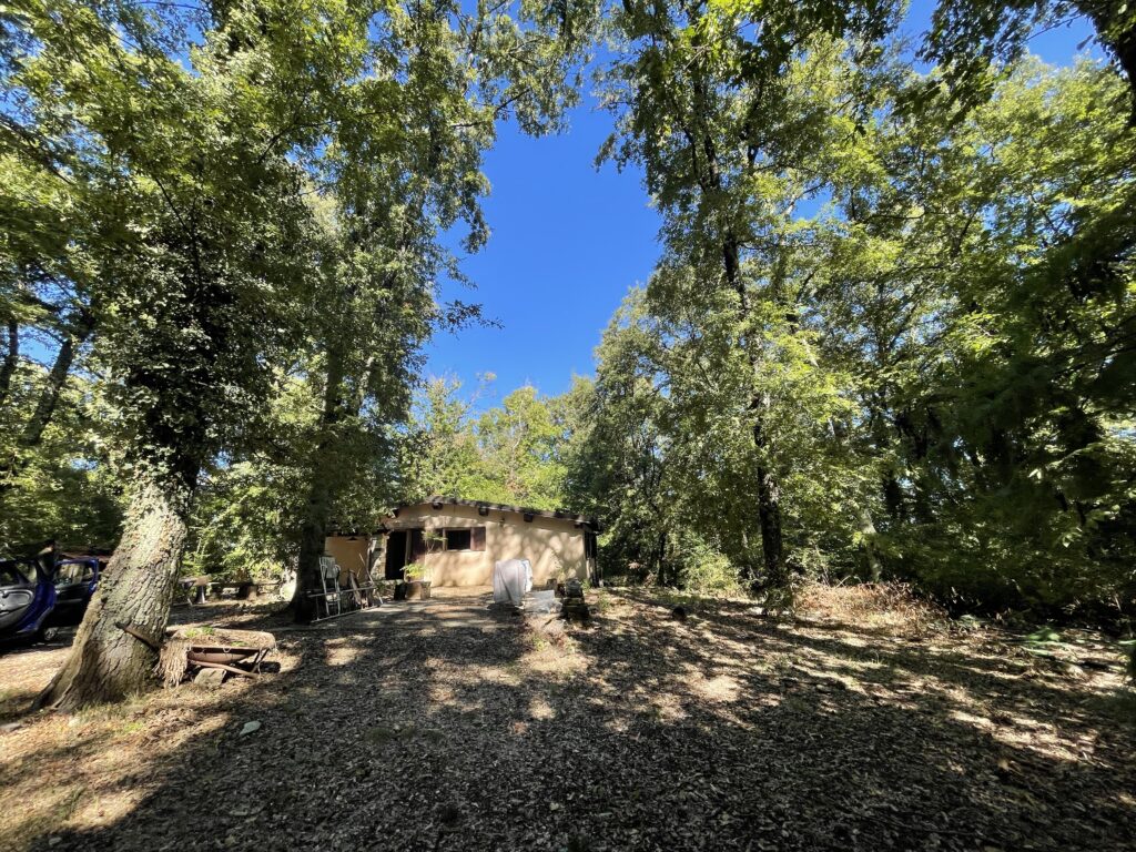 Foto di Casale nel bosco