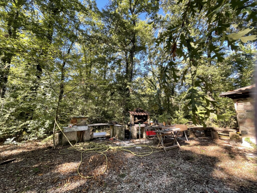 Foto di Casale nel bosco
