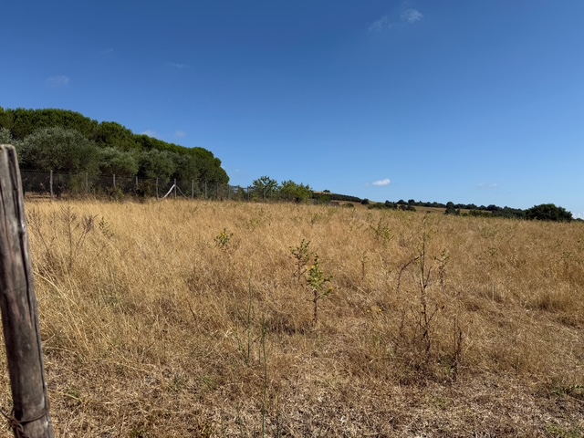 Foto di Terreni Agricoli