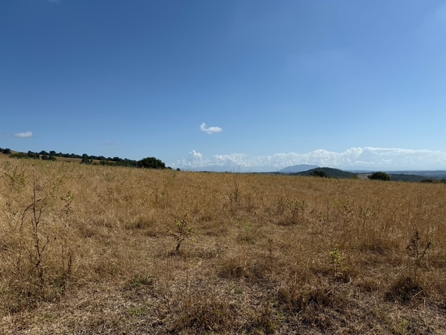 Foto di Terreni Agricoli