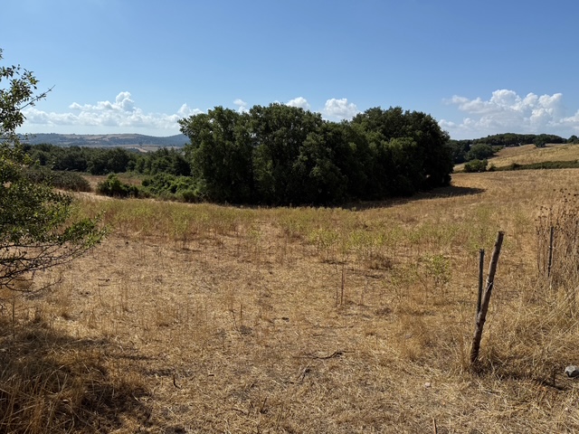 Foto di Terreni Agricoli