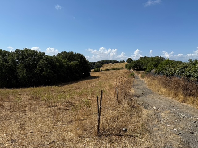 Foto di Terreni Agricoli