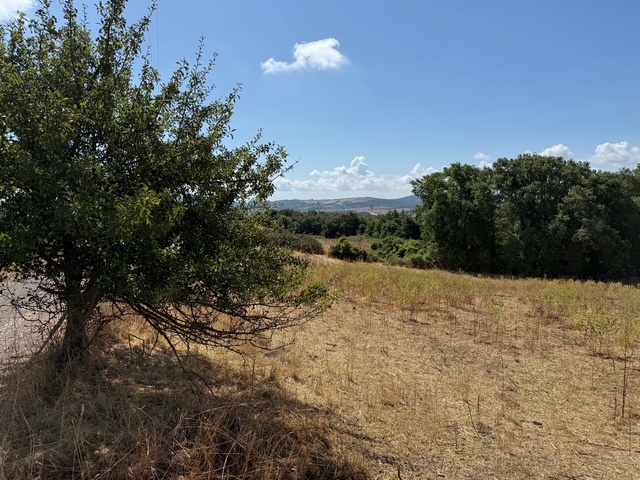 Foto di Terreni Agricoli