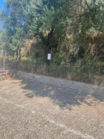 Foto di Posto auto